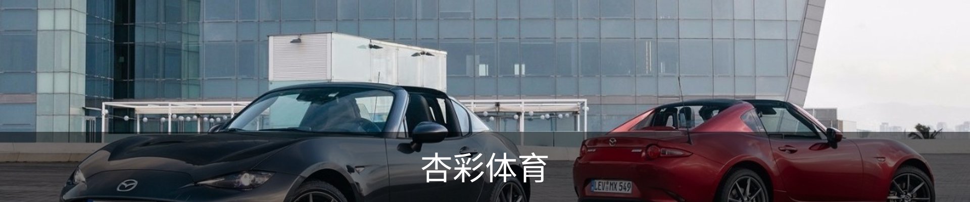 杏彩体育